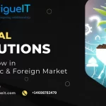 Digital solutions for business growth in domestic and foreign markets – innovative strategies by Intrigue IT Solutions.