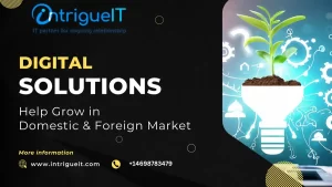 Digital solutions for business growth in domestic and foreign markets – innovative strategies by Intrigue IT Solutions.